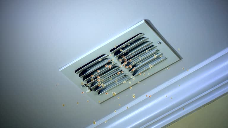 Best Air Duct Cleaning Near Me  in Ronan, MT